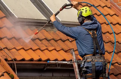 Démoussage et hydrofuge de toiture à Lizant